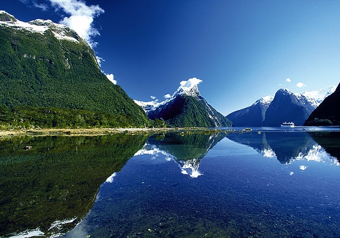 Image result for fiordland national park new zealand pictures