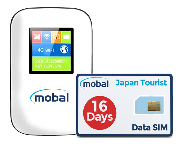 data only sim