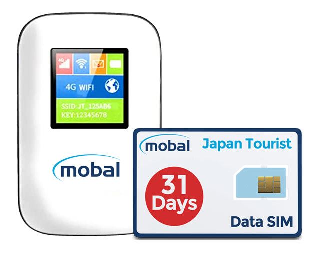 data only sim