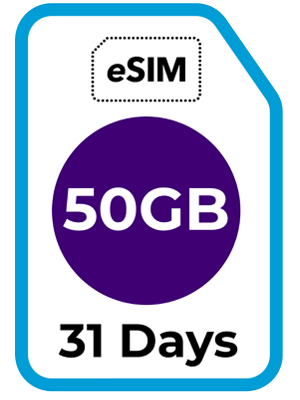 Japanese Data eSIM